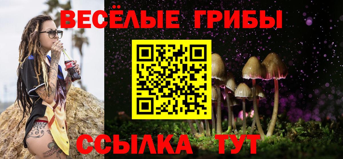 Галлюциногенные грибы GOLDEN TEACHER  Славгород 