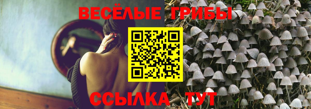 Галлюциногенные грибы Psilocybine cubensis Славгород