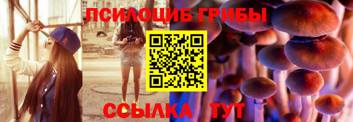 Славгород  Галлюциногенные грибы GOLDEN TEACHER  Вход с VPN  Галлюциногенные грибы Cubensis 