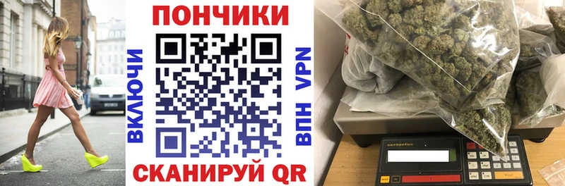 Бошки марихуана конопля  Славгород 